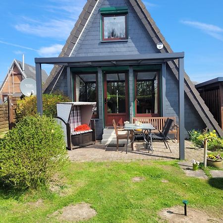 Nordseedeich Friedrichskoog-Spitz Exteriör bild
