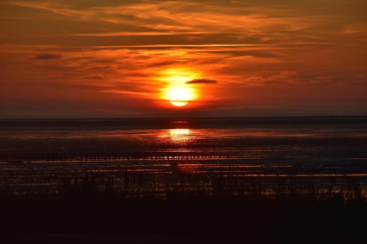 Nordseedeich Friedrichskoog-Spitz Exteriör bild